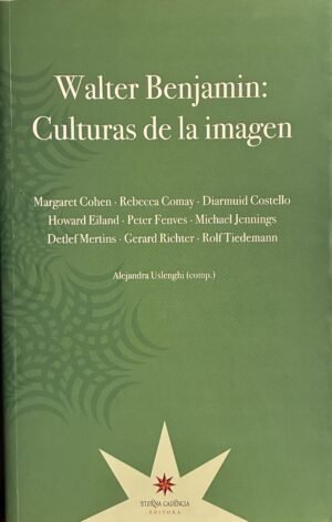 Walter Benjamin: culturas de la imagen - Varios autores